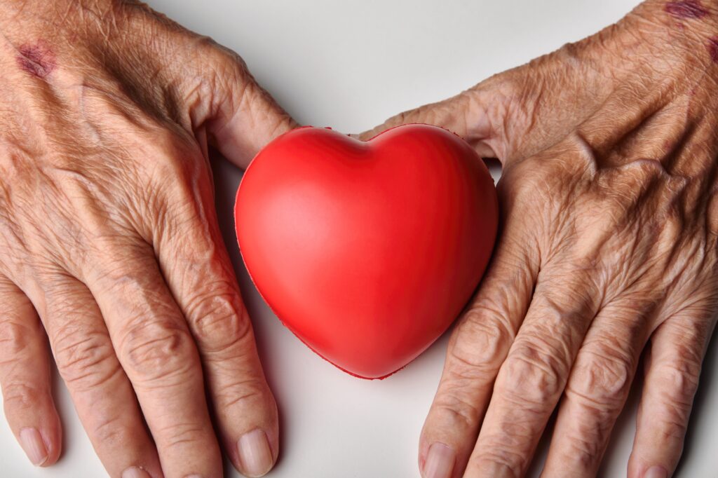 Elderly hands holding a red heart shape.